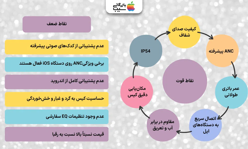 تصویر اینفوگرافی از نقاط قوت و نقاط ضعف ایرپاد پرو 2