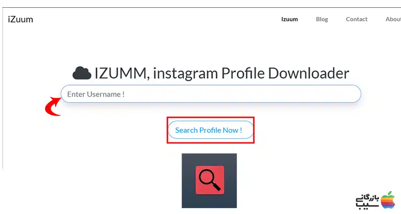 تصویر مراحل کار با سایت izuum را برای دانلود عکس پروفایل اینستاگرام نشان می دهد.