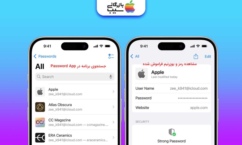 تصویری از محیط برنامه Password آیفون برای دیدن پسوردهای ذخیره شده و بازیابی رمز اینستاگرام از این طریق