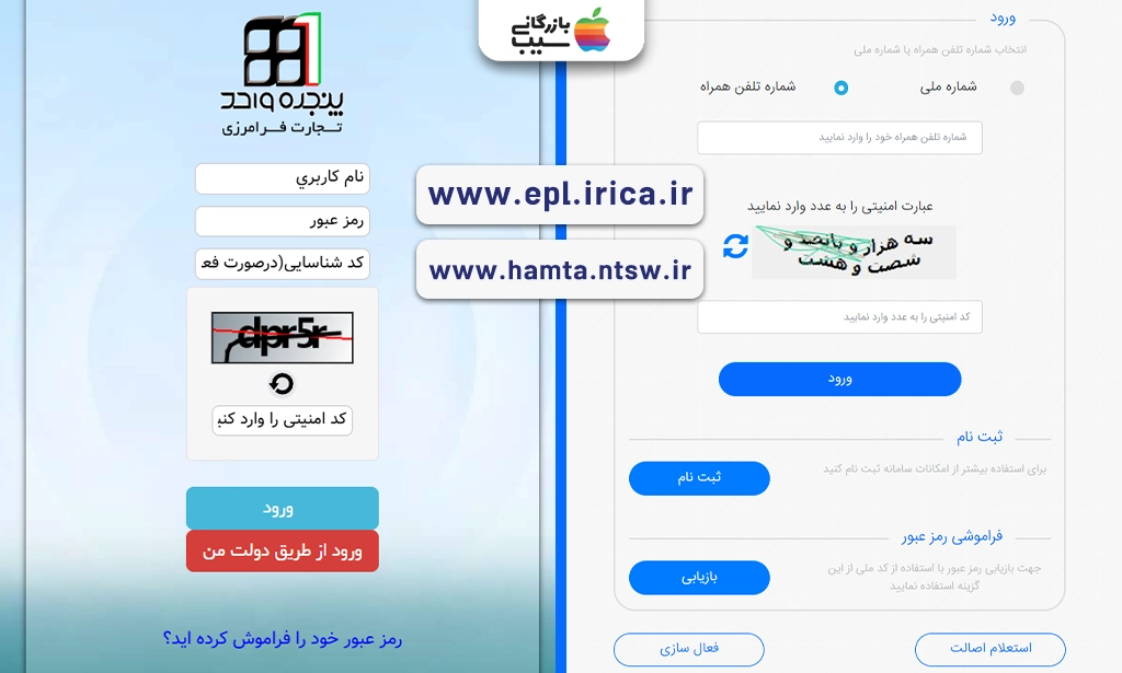 تصویری از ثبت رجیستری آیفون 16 از طریق epl.irica.ir و hamta.ntsw.ir