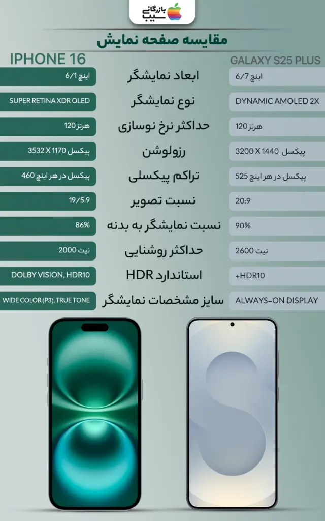 تصویر اینفوگرافی از مقایسه جزییات صفحه نمایش آیفون 16 و گلگسی S25 Plus