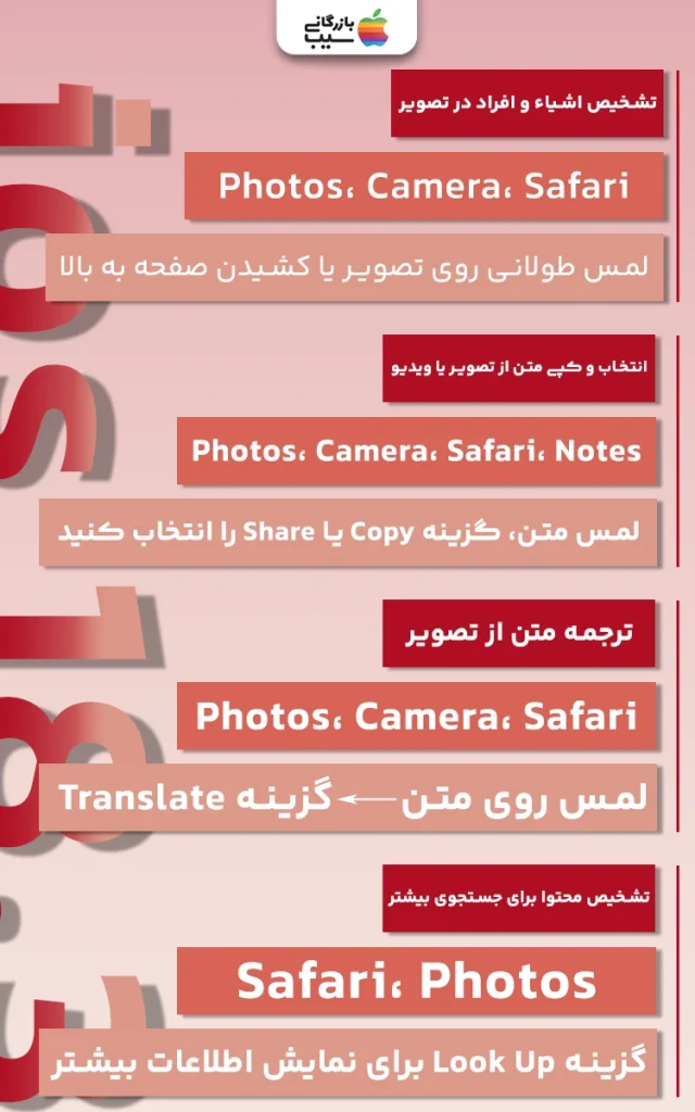 تصویر اینفوگرافی از ویژگیهای iOS 18.3 در هوش بصری