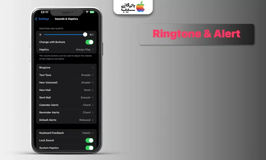 تصویری از بخش Ringtone and Alerts که همه گزینههای موجود در این بخش را به صورت کامل نشان میدهد.