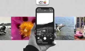 تصویر شاخص از بهترین آیفون برای عکاسی
