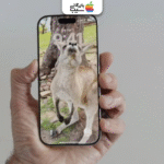 تبدیل عکس‌ها به صحنه‌های سه بعدی؛ لمس لحظه‌ها در فضایی واقعی