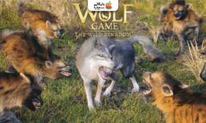 تصویری از بنر بازی Wolf Game: Wild Animal Wars