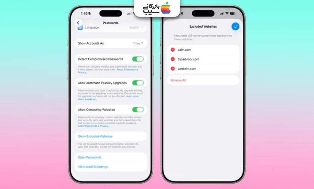 تصویری برای مدیریت سایت‌های ذخیره‌نشدن رمز عبور در Passwords، از ویژگی‌های iOS 26.2