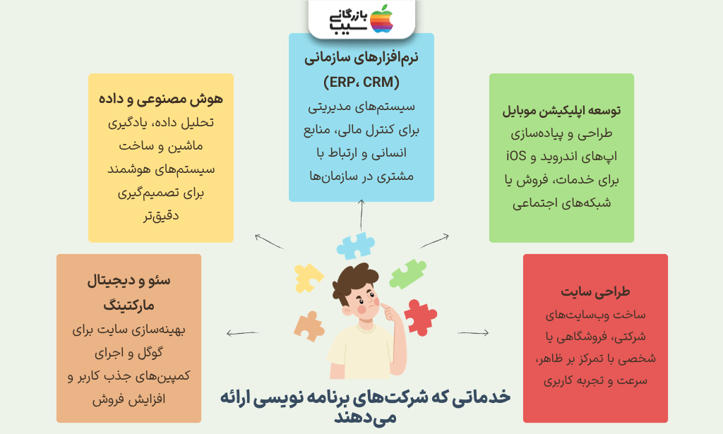 تصویر اینفوگرافی از خدماتی که شرکت‌های برنامه نویسی ارائه می‌دهند