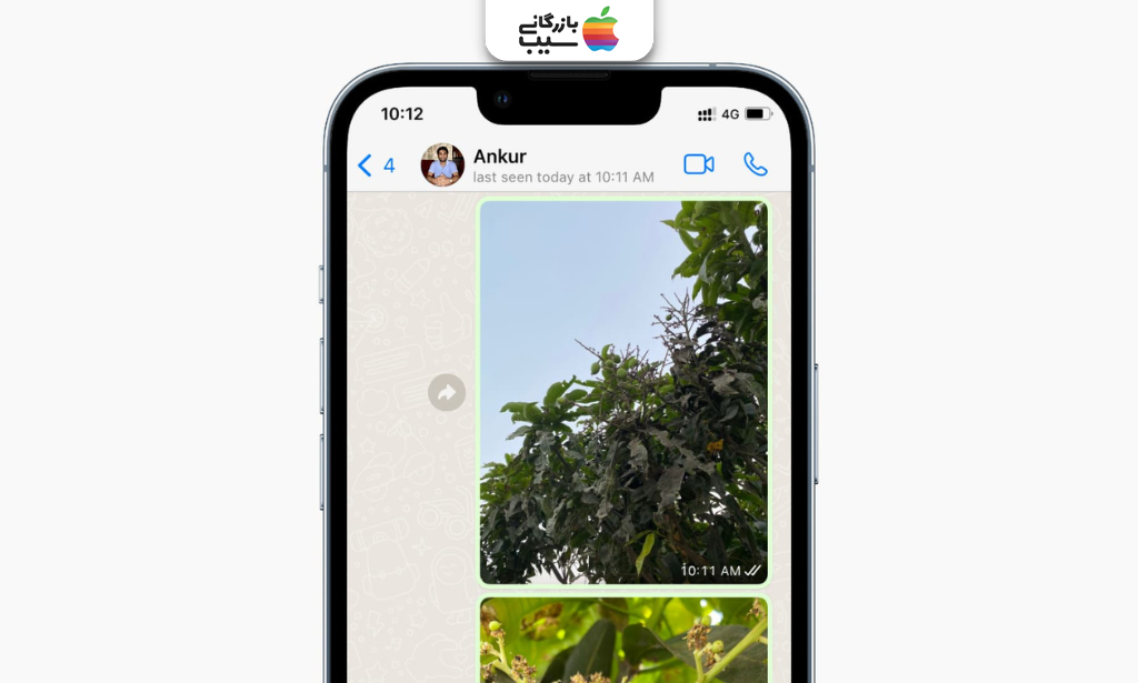 نحوه نمایش وضعیت Last Seen در صفحه چت واتساپ و نشانه‌های مخفی شدن آن